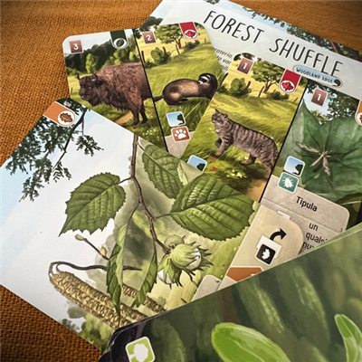 Forest Shuffle: Woodland Edge