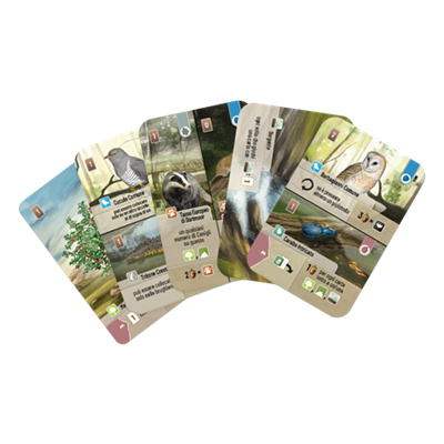 Forest Shuffle: Dartmoor